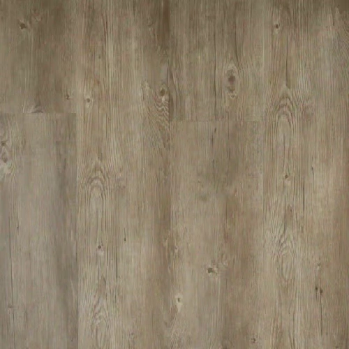 Richmond SPC Prime - Cappuccino